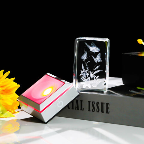 YWHL on a bookshelf lifestyle display adding decorative charm to room decor