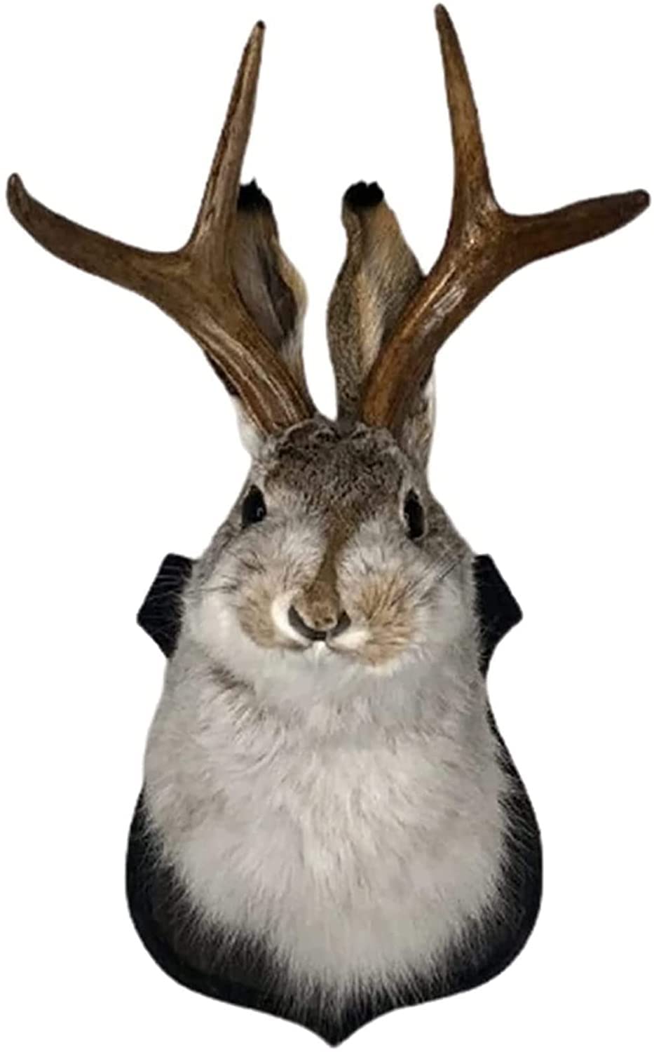 YXMKJOS jackalope front view showing whimsical detail and visual appeal