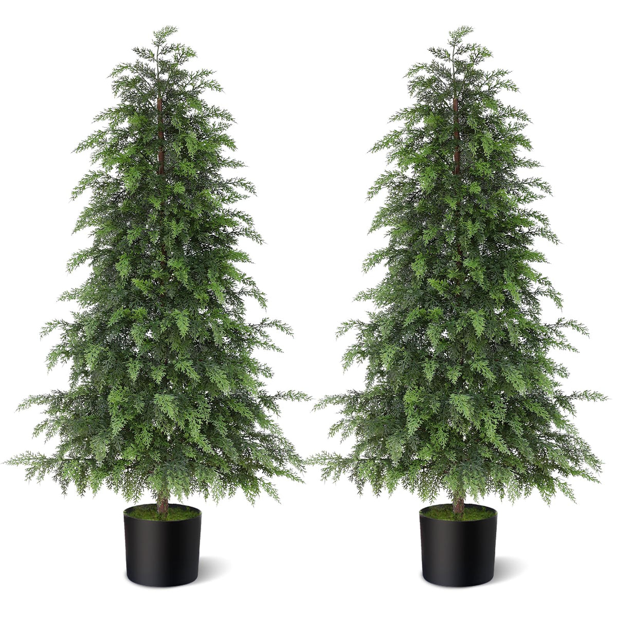 YXZZWL two cedar trees on front porch adding curb appeal