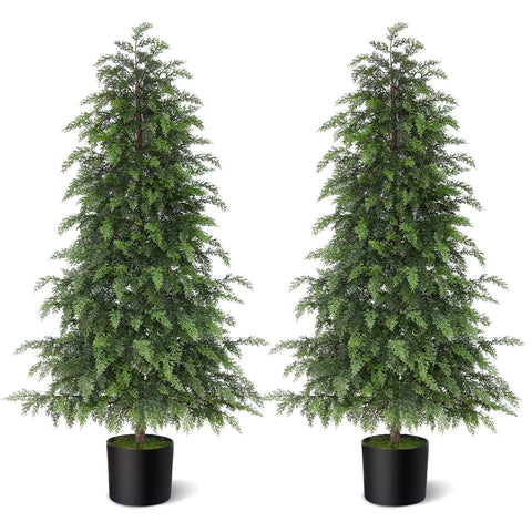 YXZZWL two cedar trees on front porch adding curb appeal