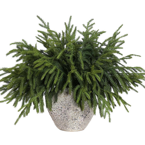 YXZZWL front packaging showing 16 Norfolk pine stems, ready for decor