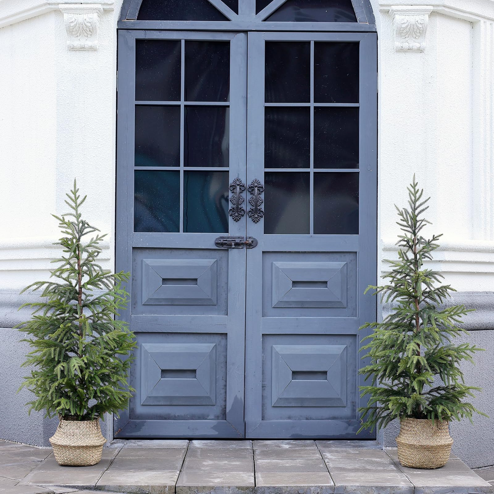 YXZZWL tree sitting in a 6-inch black pot for stable compact placement