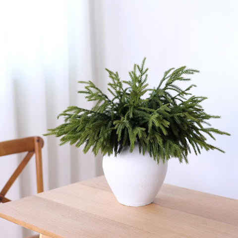 YXZZWL open box showing all 16 stems, ready-to-use convenience