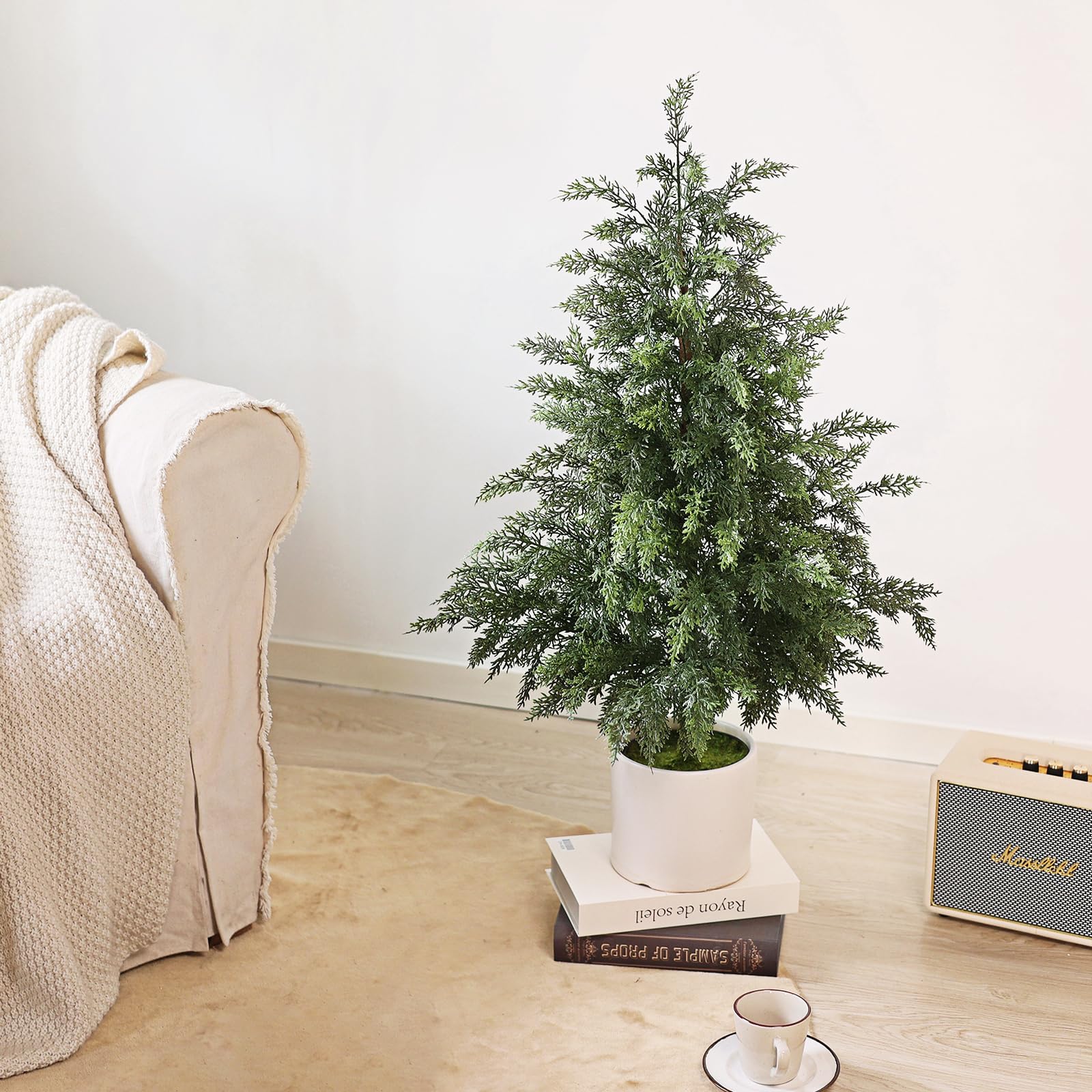 YXZZWL tree next to doorway showing compact 3ft scale