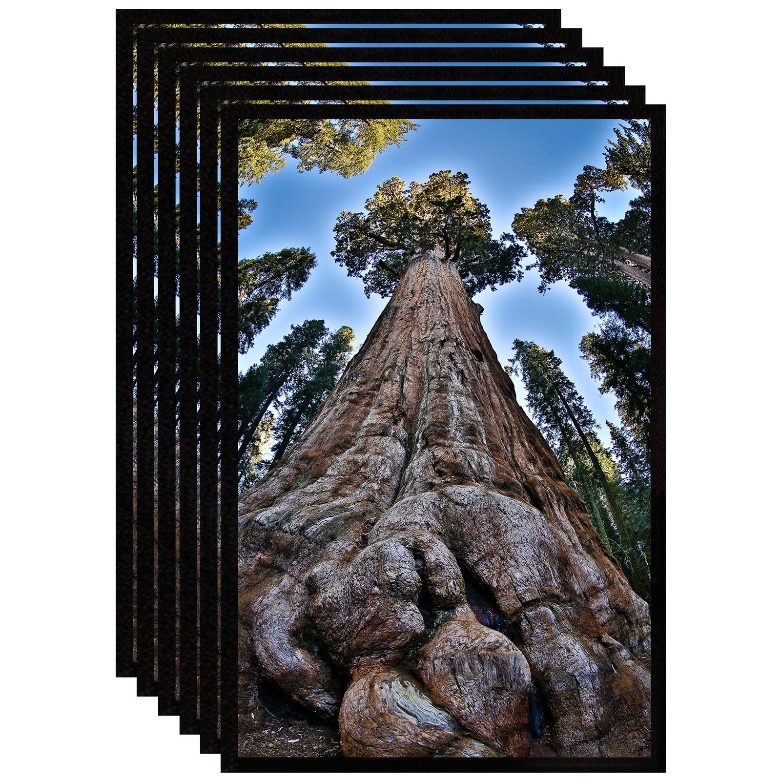YYTRABAJO front view of 11x17 black frame set shows neat finished look and versatile styling