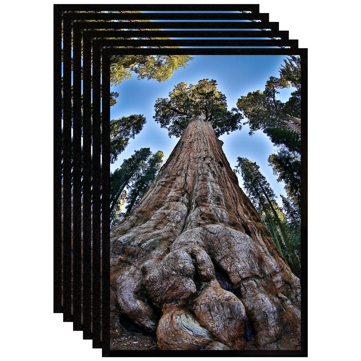 YYTRABAJO front view of 11x17 black frame set shows neat finished look and versatile styling