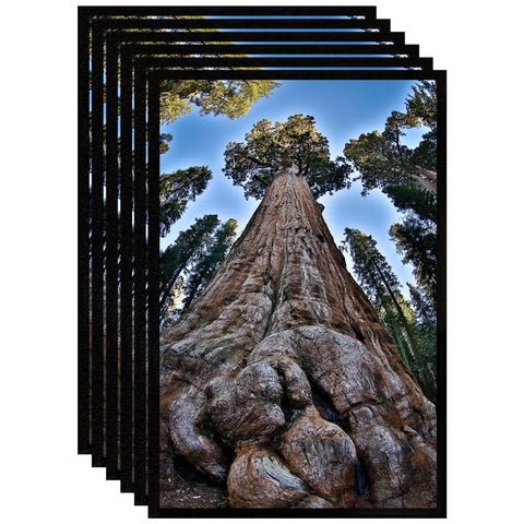 YYTRABAJO front view of 11x17 black frame set shows neat finished look and versatile styling