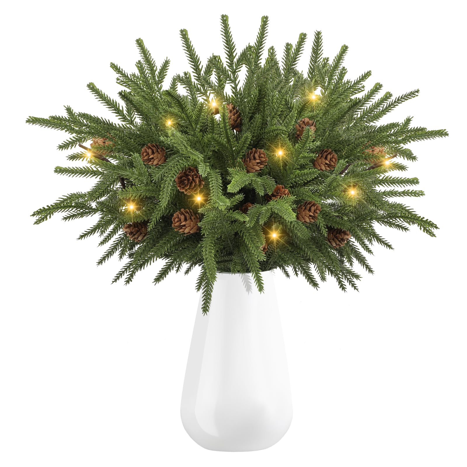 ZEAZEA front view of boxed Norfolk pine branches showing complete 10-piece set and benefits