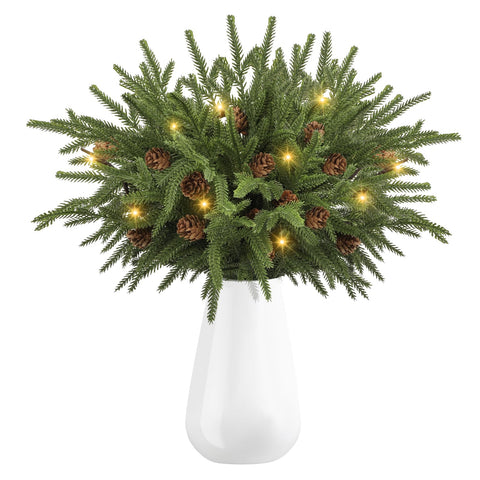 ZEAZEA front view of boxed Norfolk pine branches showing complete 10-piece set and benefits