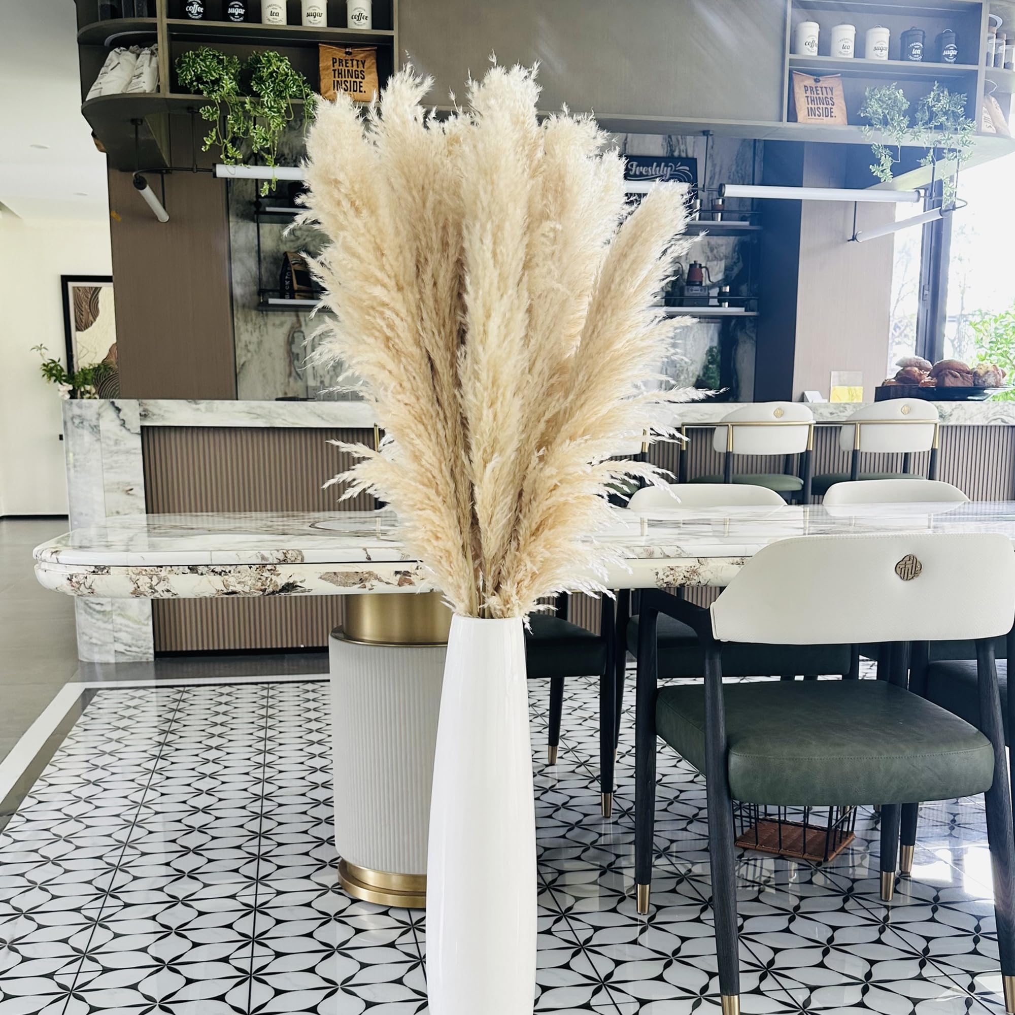 Zephynar front packaging showing six tall pampas stems and gift-ready box benefit: ready-to-style