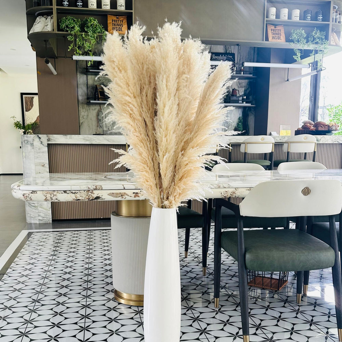 Zephynar front packaging showing six tall pampas stems and gift-ready box benefit: ready-to-style