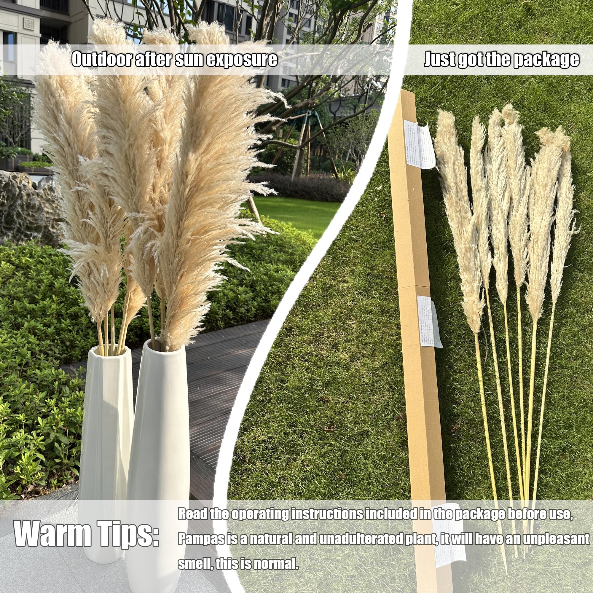 Zephynar pampas used on a wedding arch benefit: creates romantic boho backdrop