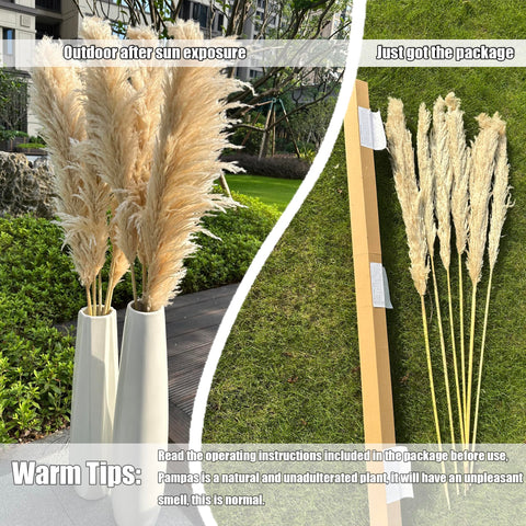 Zephynar pampas used on a wedding arch benefit: creates romantic boho backdrop