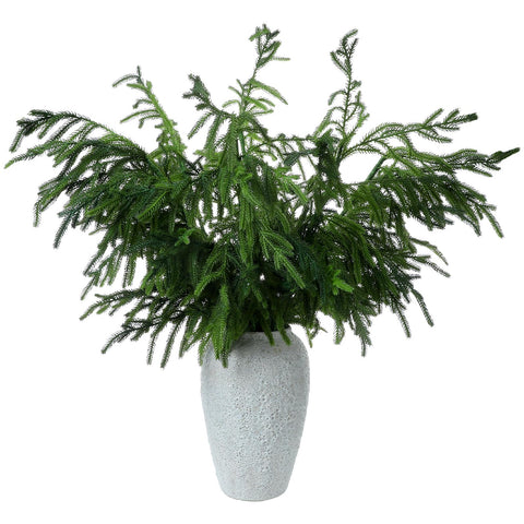 Zeyune package of 12 Norfolk pine stems showing full set and value