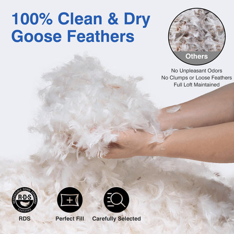 zibroges 600-thread-count cotton shell close-up for silky touch