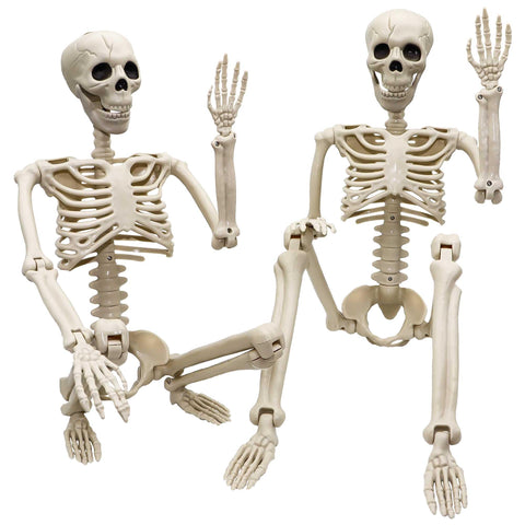 Znorso front view of two 36-inch skeletons showing setup versatility and curb appeal