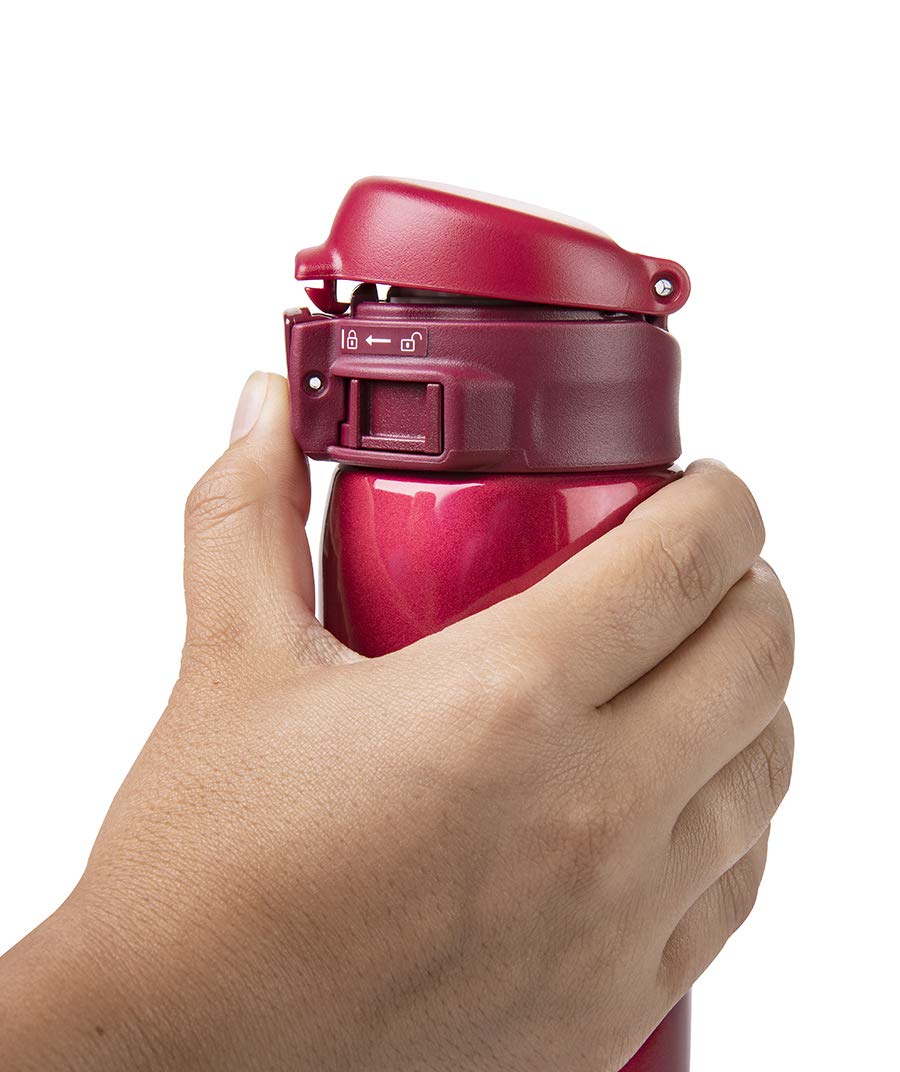 Zojirushi held in hand to show compact 20-ounce scale