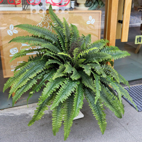 zooFernzoom close-up frond texture highlighting lifelike silk leaves and realism benefit