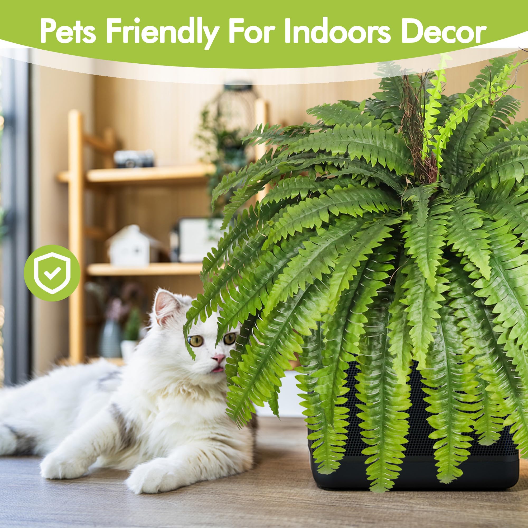 zooFernzoom in living room styled as focal greenery for low-maintenance home benefit