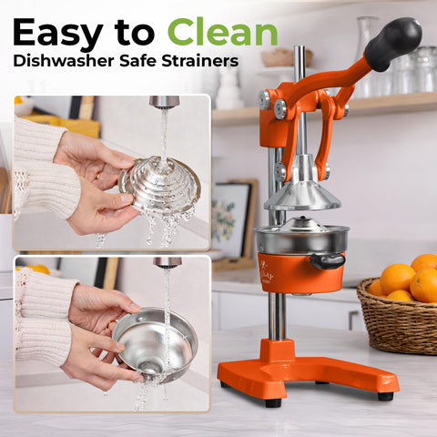 Zulay Kitchen juicer next to citrus showing 5-inch bowl capacity and scale