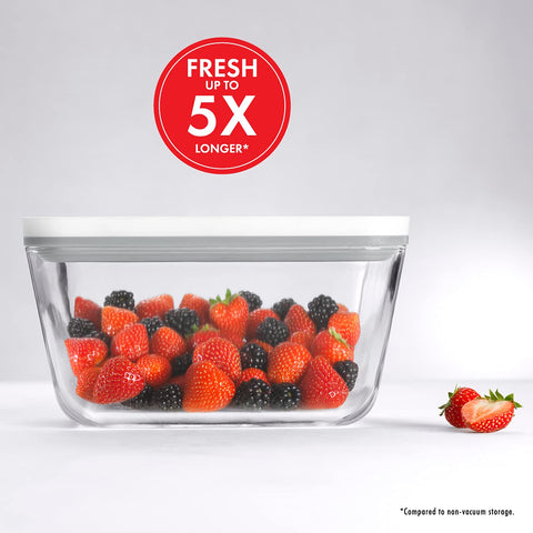 ZWILLING vacuum containers frozen in a freezer to prevent freezer burn and preserve taste
