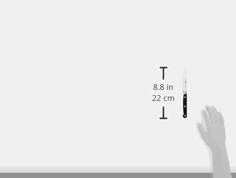 ZWILLING handle detail showing three-rivet ergonomic grip for comfort