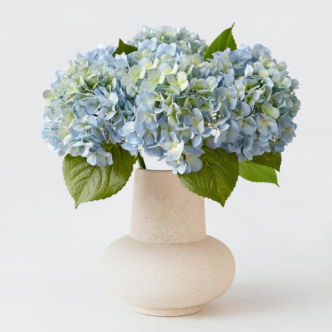 ZYTUYO front view of four light blue hydrangea heads showing full bouquet benefits