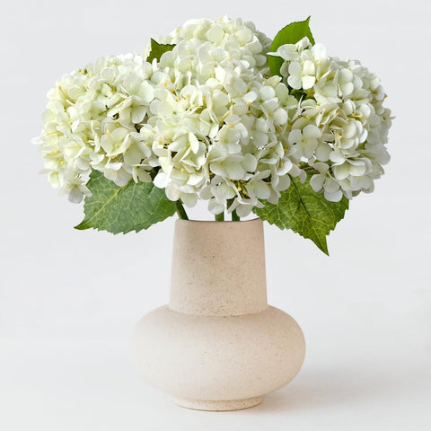 ZYTUYO front packaging showing four ivory hydrangea heads and stems, ready to style