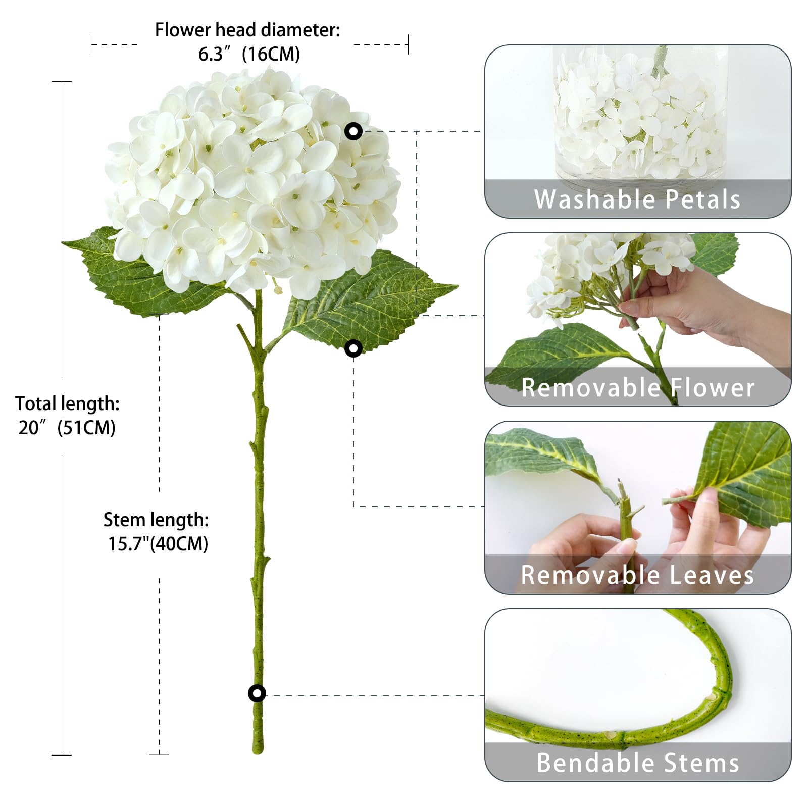 ZYTUYO hydrangea beside a ruler showing 20 inch stem length for scale