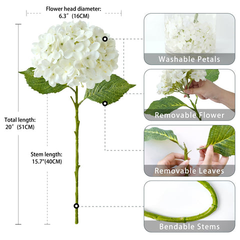ZYTUYO hydrangea beside a ruler showing 20 inch stem length for scale