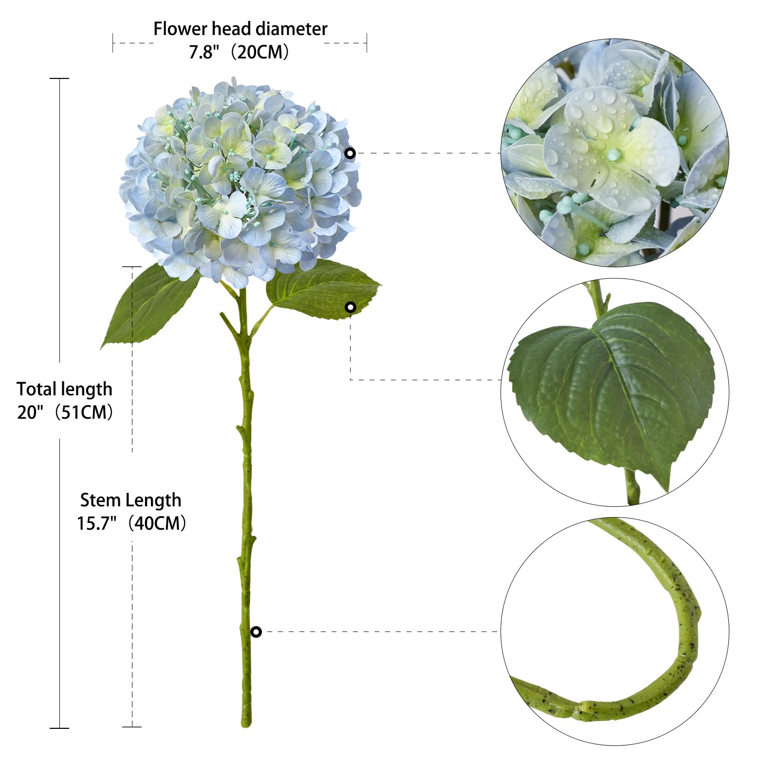 ZYTUYO hydrangea next to ruler showing 20-inch length for size accuracy