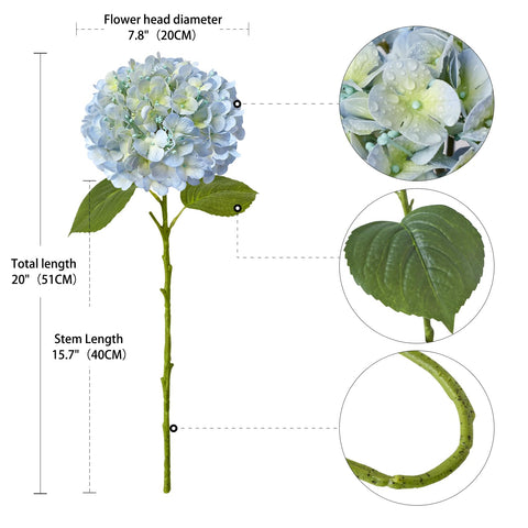 ZYTUYO hydrangea next to ruler showing 20-inch length for size accuracy